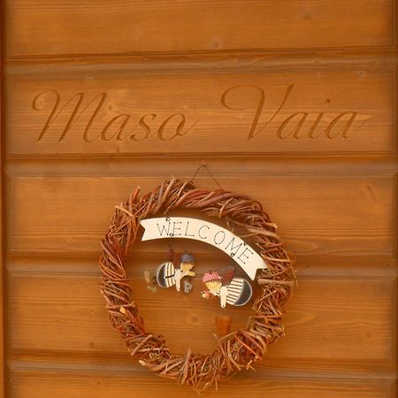 Maso Vaia Bed & Breakfast Cavalese Exterior photo